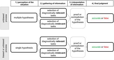 How context influences the processing of relevant information and judgment accuracy—the role of information restriction in judgment processes in diagnosing misconceptions